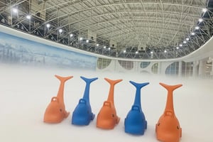 深圳阿爾卑斯冰雪世界