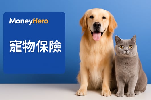 ChatGPT Image 2025年12月4日 下午07_10_16