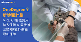 OneDegree全新珍寵計劃｜MRI、CT醫療費用納入保障　同步推出貓FIP額外保額附加保障