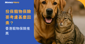 投保寵物保險要考慮甚麼因素？香港寵物保險推薦