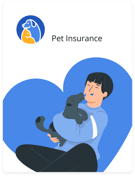 Card image_pet-in