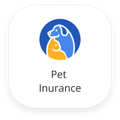 Pet Insurance