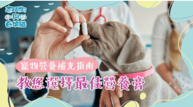 寵物營養補充指南：教您選擇最佳營養膏