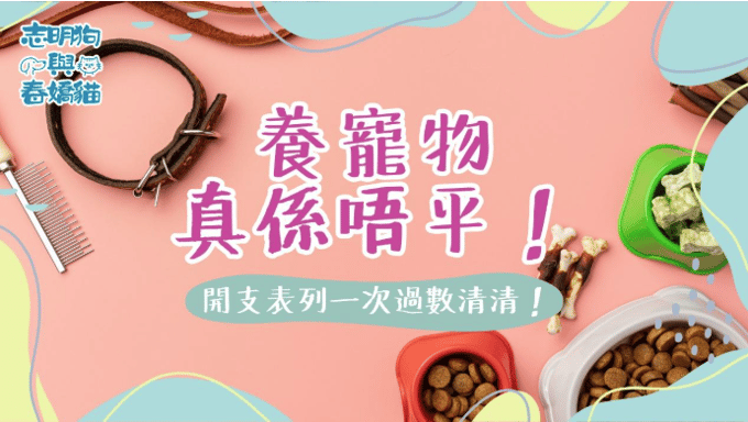 圖片的背景為淺粉紅色，圖片的左側上方有一個寵物頸圈，右下角有兩碗寵物飼料