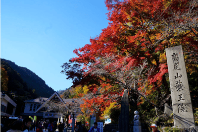 東京紅葉景點 高尾山