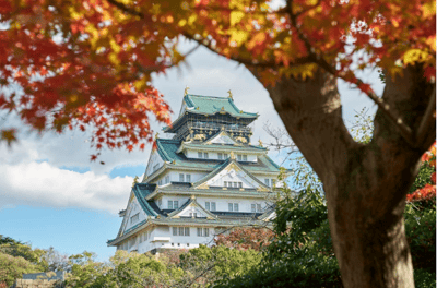 大阪紅葉景點 大阪城公園