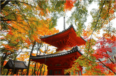 大阪紅葉 大威德寺