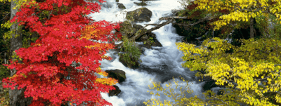 北海道紅葉 阿寒湖