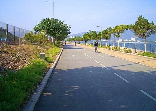 拍拖好去處 大埔踩單車