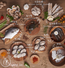 小貓釣魚