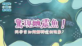 驚現地震魚！科學家如何解釋這個現象？