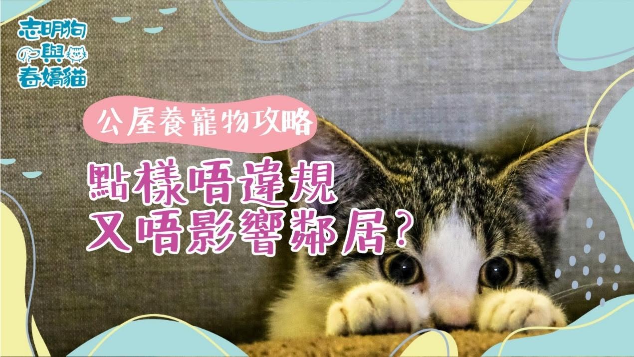提供公屋養寵物攻略，教你如何在不違規及不影響鄰居的情況下安心養寵物。