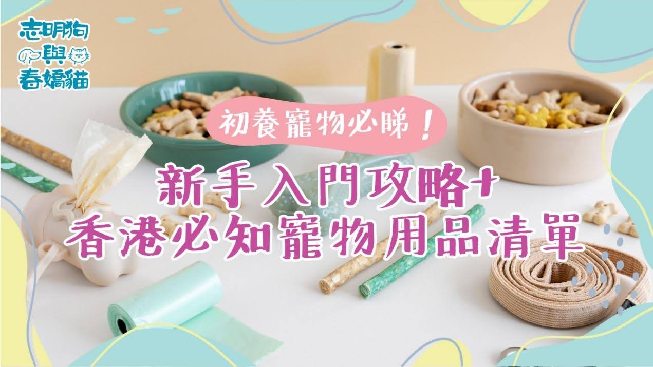 初養寵物必睇!新手入門攻略+香港必知寵物用品清單