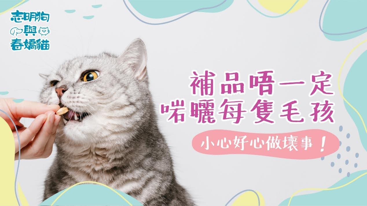 補品唔一定啱曬每隻毛孩,小心好心做壞事!