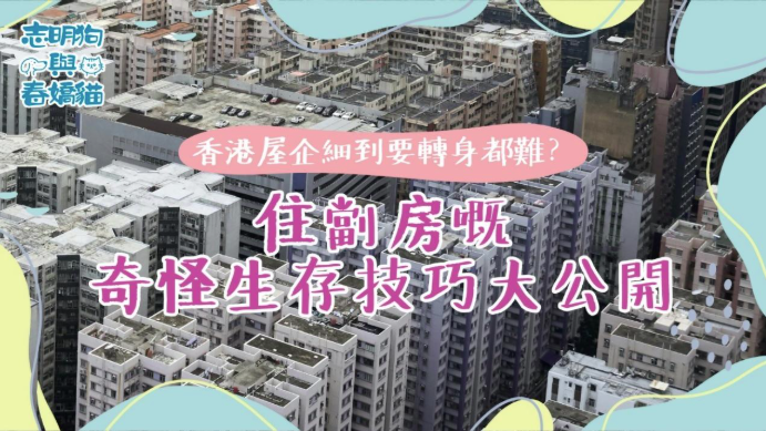 圖爲鳥瞰圖，圖裏為密密麻麻的高樓景色